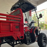 Titan Adventure Agro Cargo F300cc