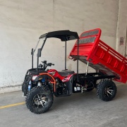 Titan Adventure Agro Cargo F300cc