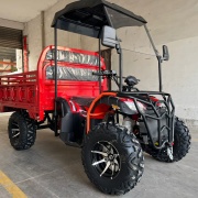 Titan Adventure Agro Cargo F300cc