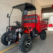 Titan Adventure Agro Cargo F300cc