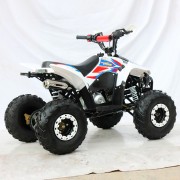 Motocicleta ATV infantil Titán mini F 70