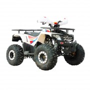 Motocicleta ATV infantil TITAN PLUS F 125